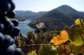 /album/galeria-de-fotos/douro-vindima-jpg1/